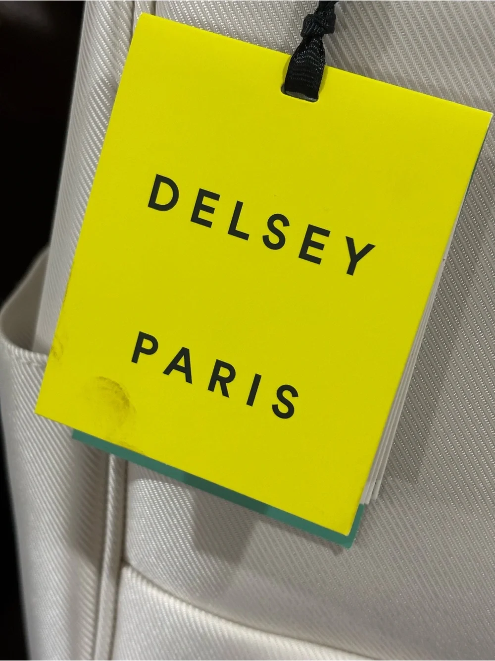 DELSEY Paris Men's Cream & Tan Travel Backpack